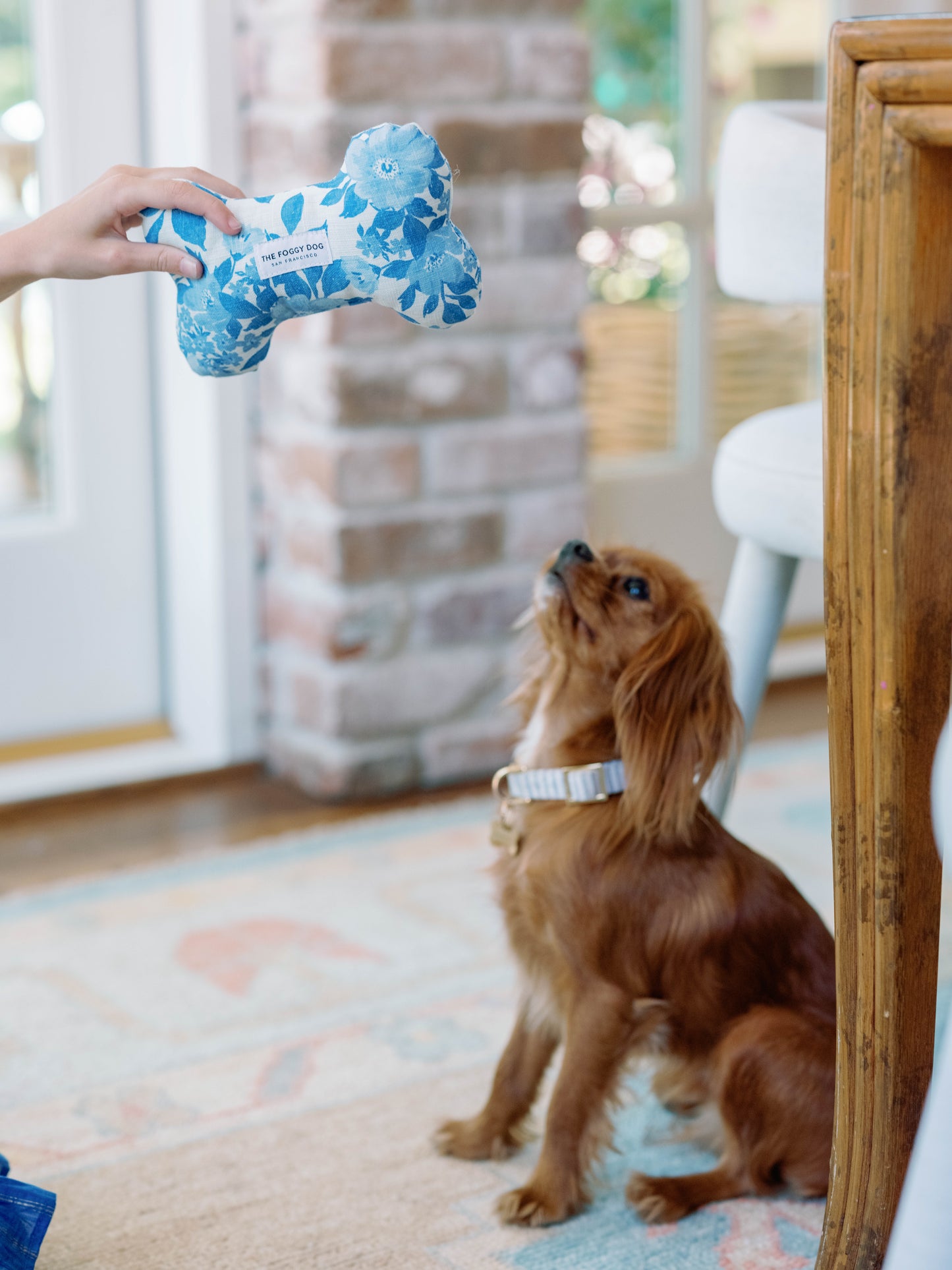 Dog Bone Squeaky Toy