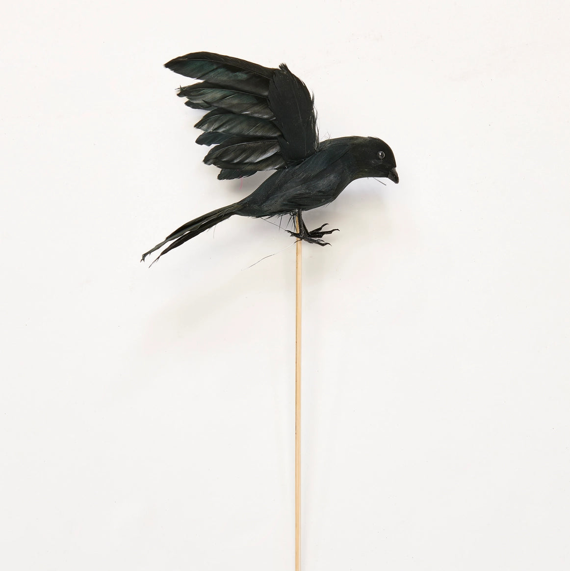 Crow on a Stick