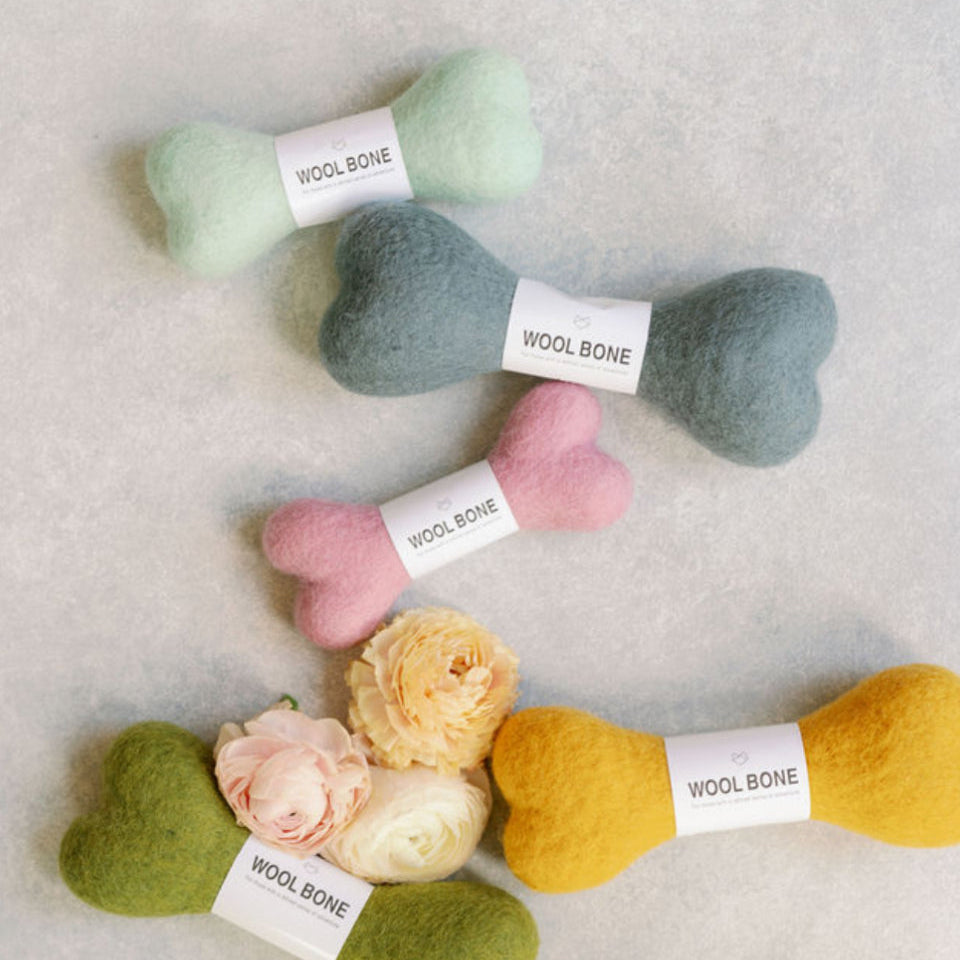 Small Woolbones Dog Toy