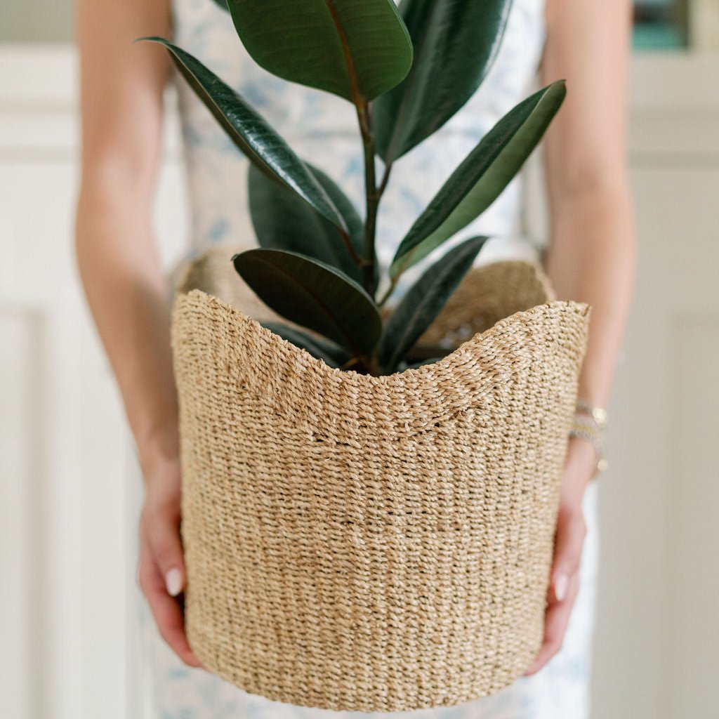 Natural Scallop Planter Basket