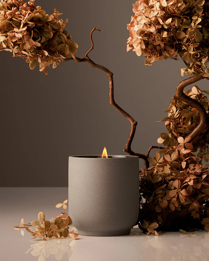Homecourt Neroli Leaf Candle