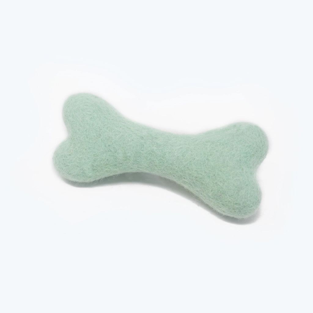 Small Woolbones Dog Toy