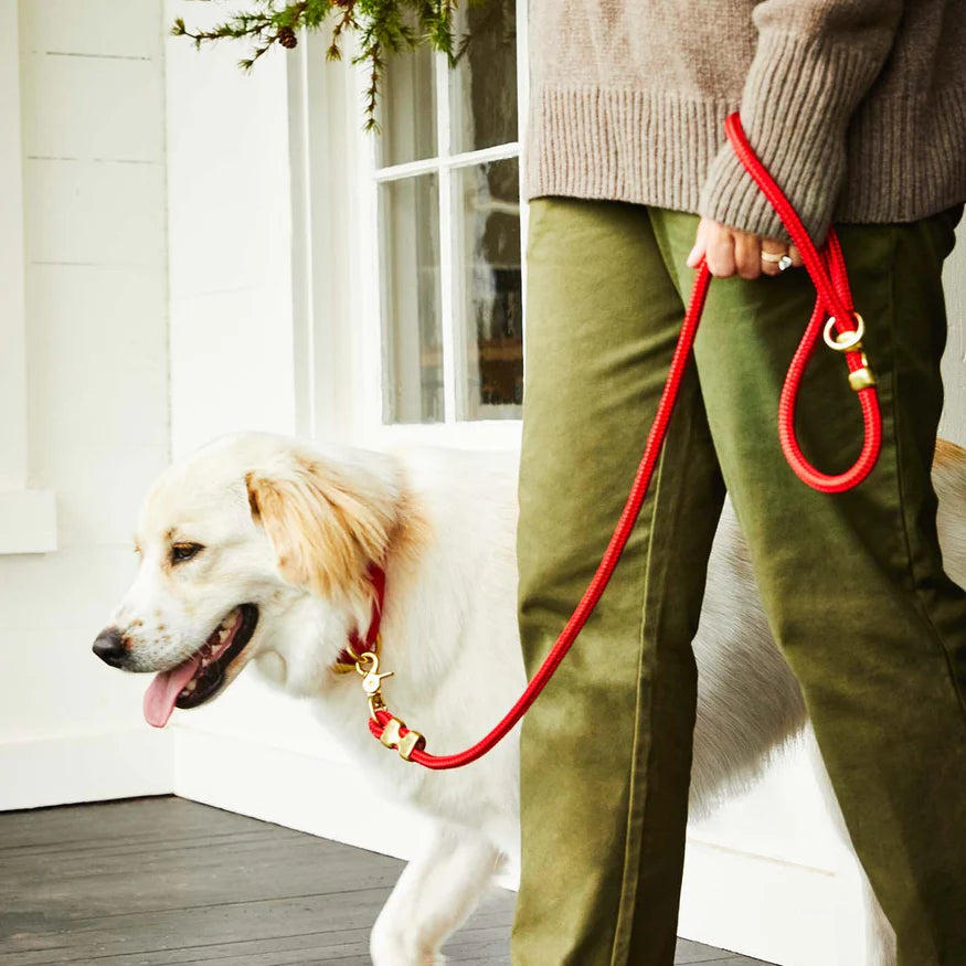 Ruby Marine Rope Dog Leash | 5 Feet