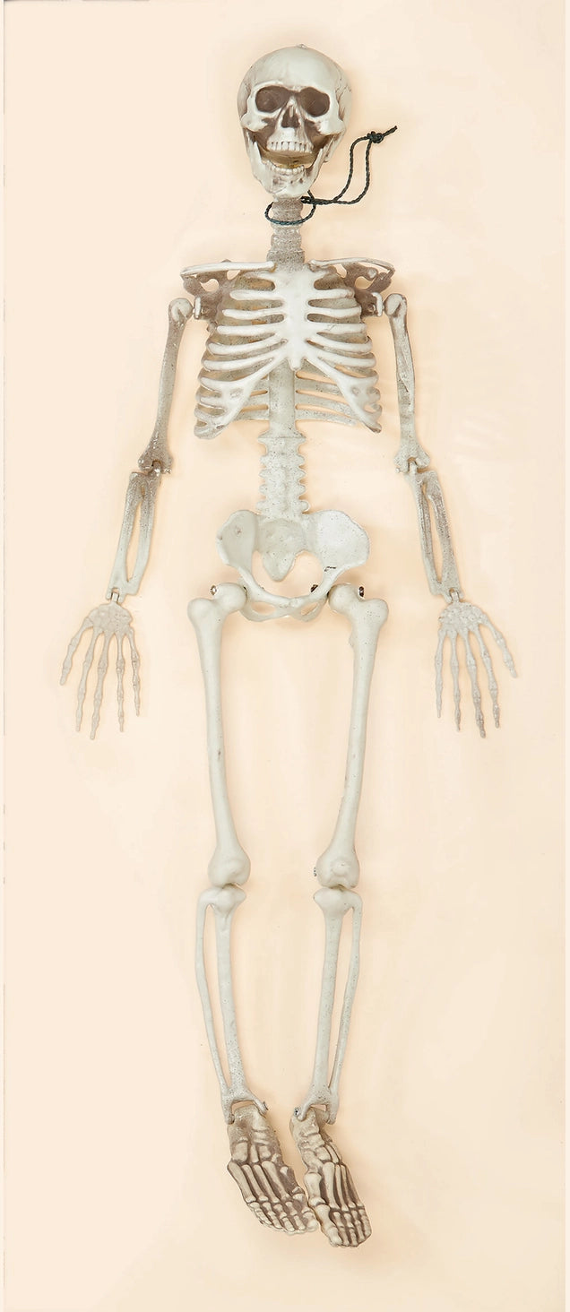 Posable Skeleton