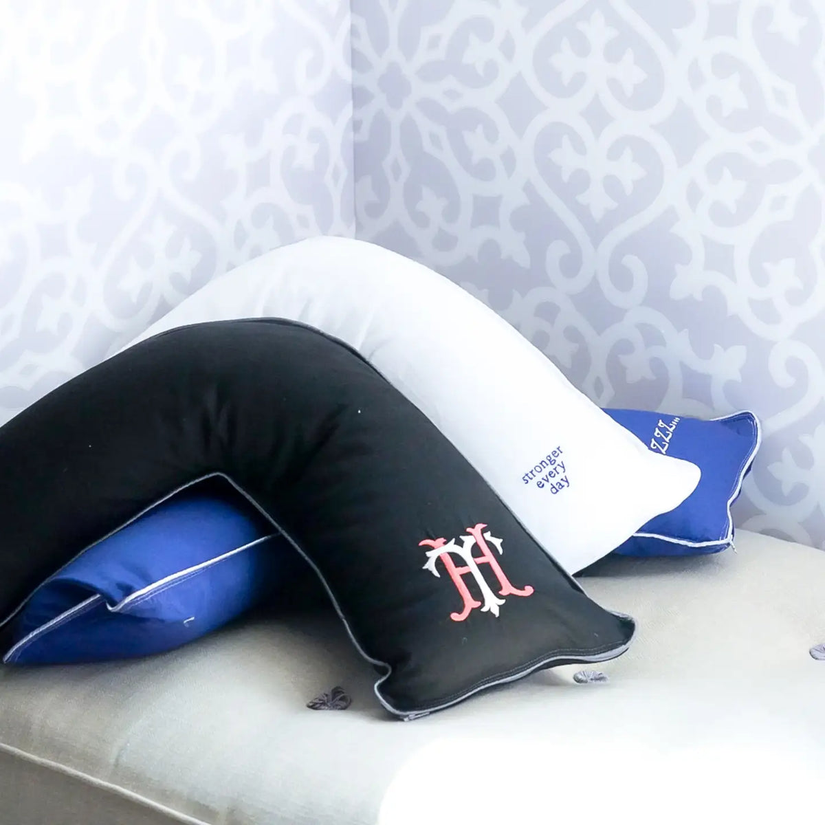 Jetsetter Mini Pillow