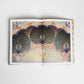 Patterns of India