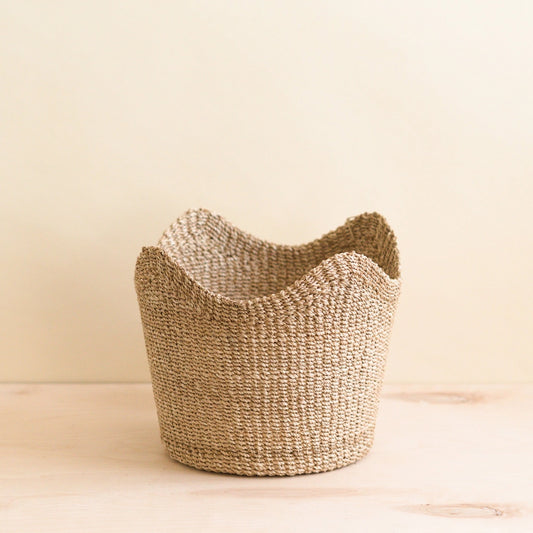 Natural Scallop Planter Basket