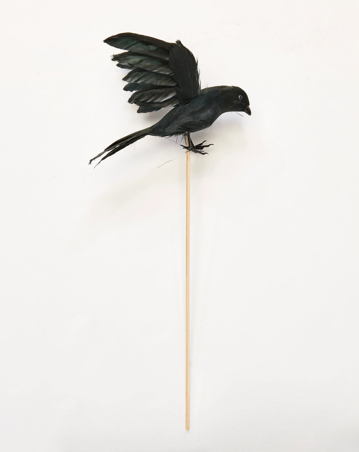 Crow on a Stick