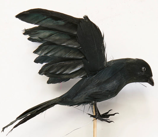 Crow on a Stick