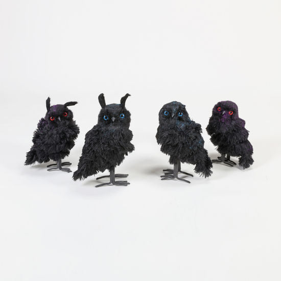 Black Owl Decor