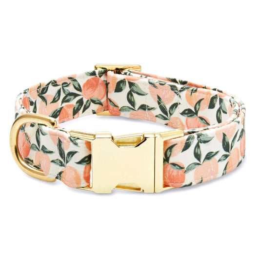 Peaches & Cream Dog Collar