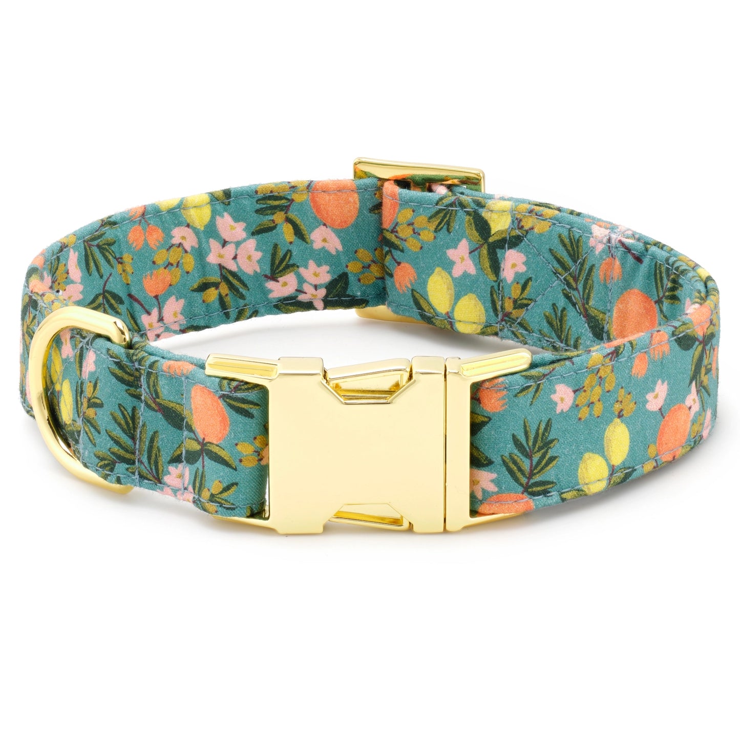 Rifle Paper Co. X Tfd Citrus Floral Dog Collar