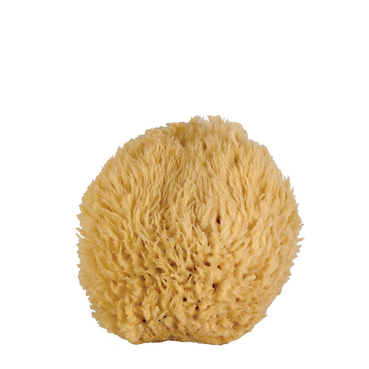 Whoa Mama! Ultra Soft & Luxurious Medium Bath Sponge