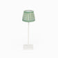 Mint Sky Rhea Floral Stripe Block Print Lampshade
