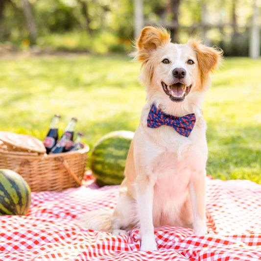 Catch of the Day Dog Bow Tie