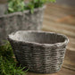 Small Oval Concrete Basket Container