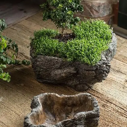 Large Cement Burled Bark Planter