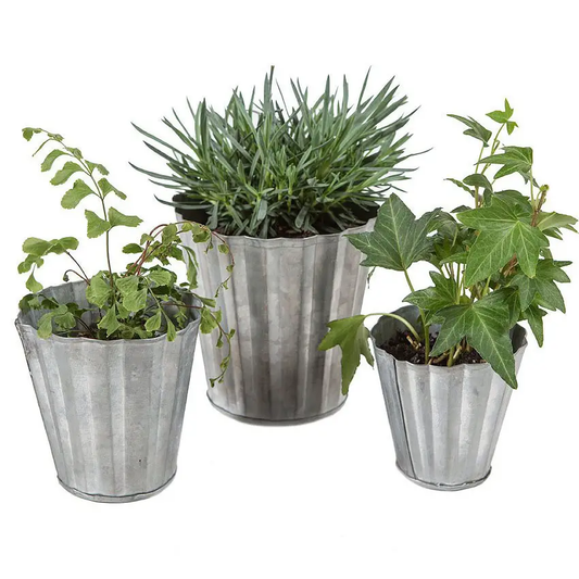 Tin Herb Pots