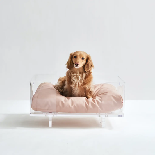 Lucite Dog Bed